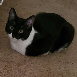 Meet your Posher, Tarryn